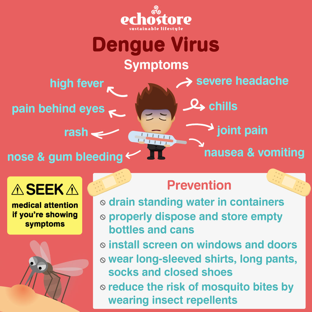 5 Tips to Keep Dengue Mosquitoes Away
