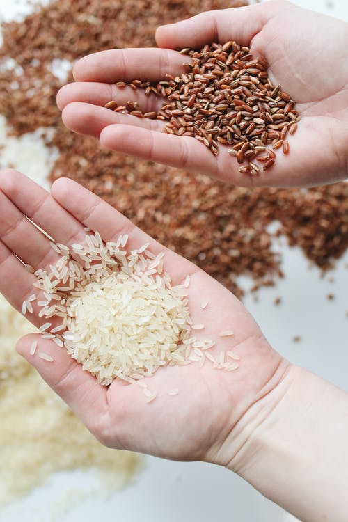 A Primer on Grains and Beans
