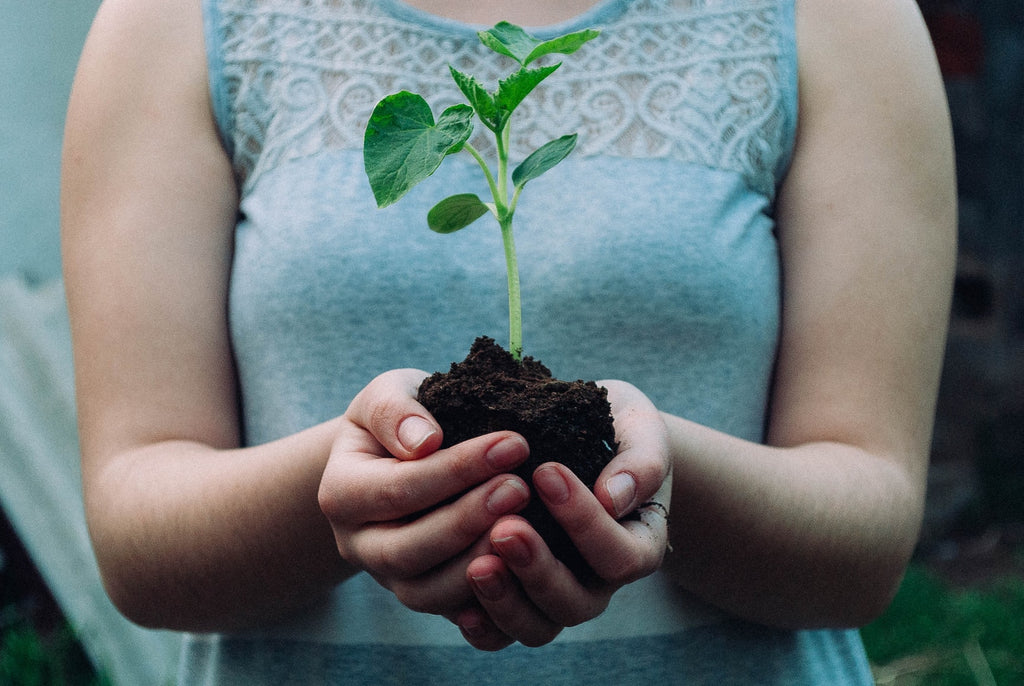 7 Environmentally Friendly Ways to Celebrate Earth Day 2022