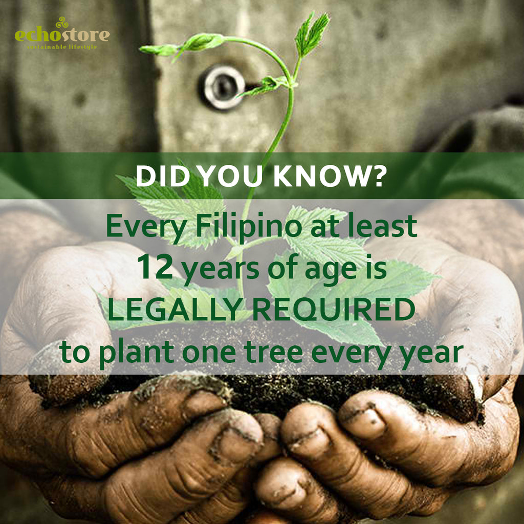 Earth Day Fun Fact: Law requires Filipinos 12 and up to plant trees
